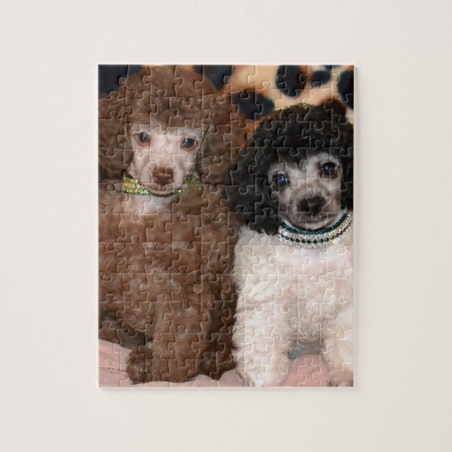 Puzzle Deux chiots mignons de caniche de jouet de caniche (Vertical)
