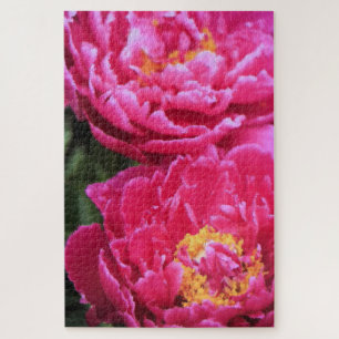 Puzzle Deux Fuchsia Peony Fleurit Peinture