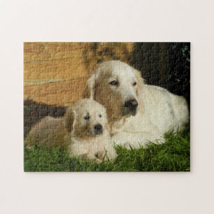 Puzzle Deux Golden Retrievers - Maman & Chiot - Amour