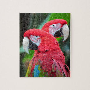 Puzzle Deux perroquets macaw colorés