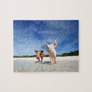 Puzzle Deux petits porcelets