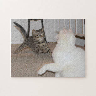 Puzzle Dexter et P.K.
