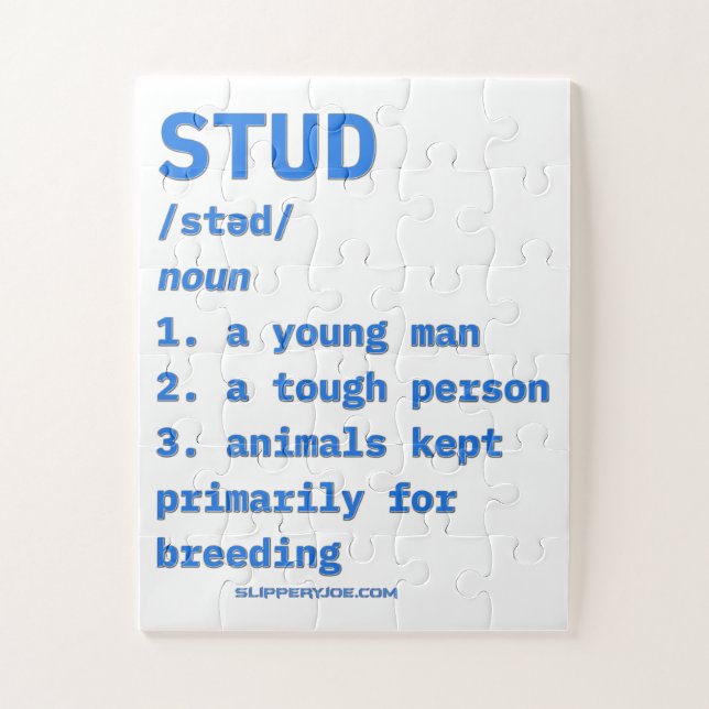 Puzzle Dictionnaire d'animaux de définition de type stud  (Vertical)