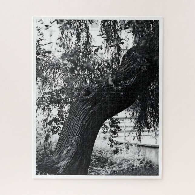Puzzle Difficile photographie de la nature monochrome (Vertical)