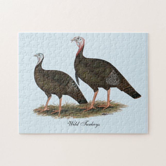 Puzzle Dindons sauvages de l'est en couple (Horizontal)
