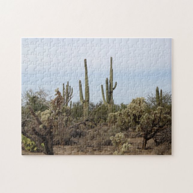 Puzzle Divers cactus (Horizontal)