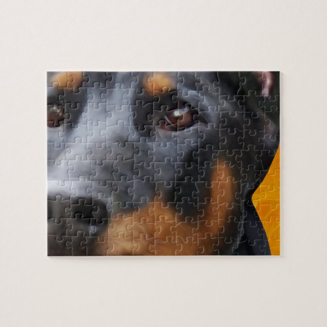 Puzzle Doberman Close (Horizontal)