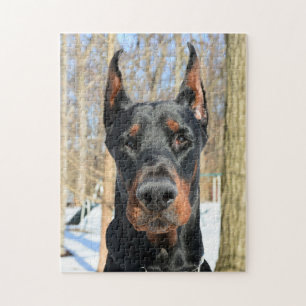 Puzzle Doberman pinscher