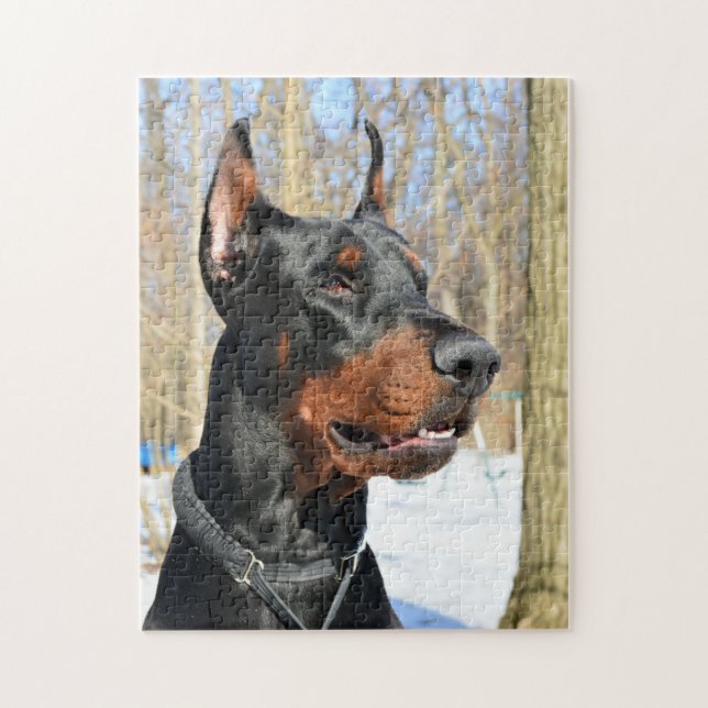 Puzzle Doberman pinscher dans la neige (Vertical)