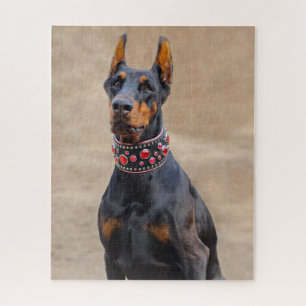 Puzzle Doberman Pinscher noir et tan