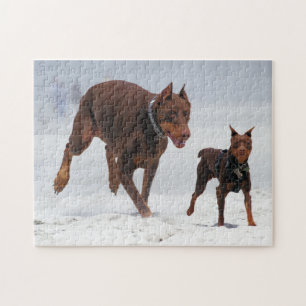Puzzle Dobermann et Pin de minute - REGARD ! Un mini je !
