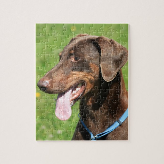Puzzle Dobermann rouge (Vertical)
