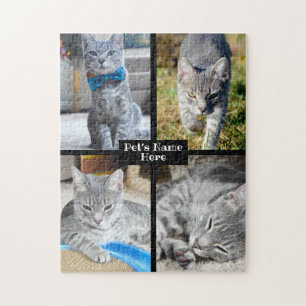 Puzzle Dog Cat Pet Photo