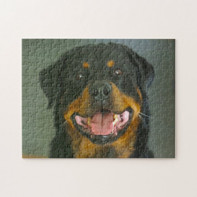 Puzzle Dog Jigsaws Rottweiler. (Horizontal)