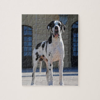 Puzzle Dogge allemand, Great Dane, chiens, Dogue Allemand