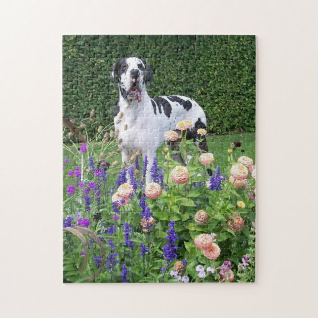 Puzzle Dogge allemand, Great Dane, chiens, Dogue Allemand (Vertical)