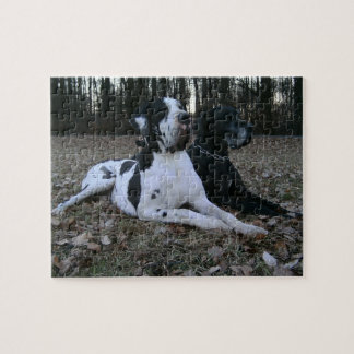 Puzzle Dogge allemand, Great Dane, chiens, Dogue Allemand