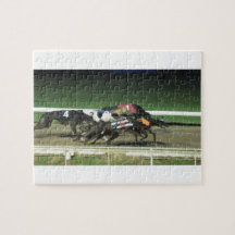 Dogs racing greyhound sporting
