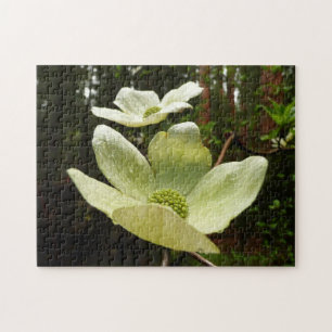 Puzzle Dogwoods et séquoias dans le parc national Yosemit