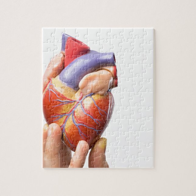 Puzzle Doigts montrant le coeur humain modèle sur (Vertical)