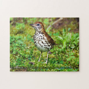 Puzzle d'oiseau de grive en bois