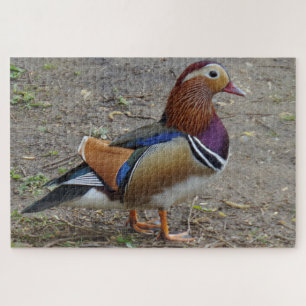 Puzzle d'oiseaux colorés