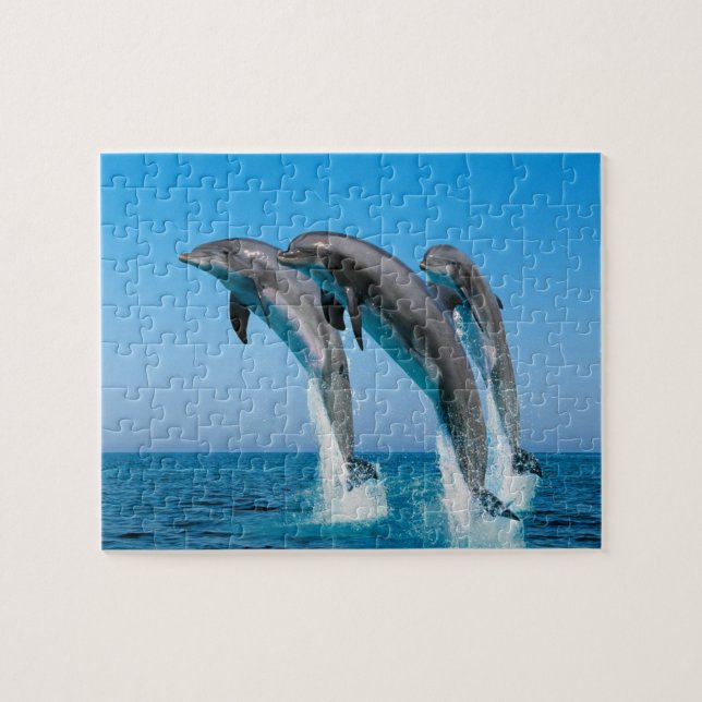 Puzzle Dolphin Game (Horizontal)