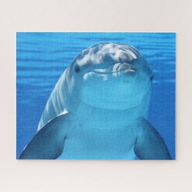 Puzzle Dolphin Jigsaw (Horizontal)