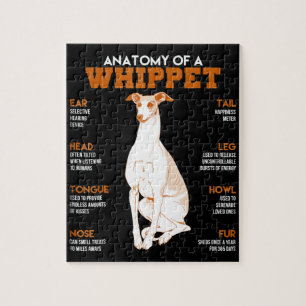 Puzzle Don de chien  anatomie d'un chien blanc à un cade