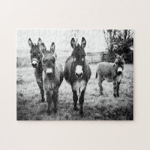 Puzzle Donkeys