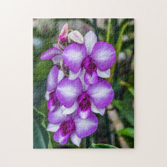 Puzzle d'orchidées blanches et violettes (Vertical)