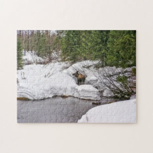 Puzzle d'orignaux, 10x14 avec 252 morceaux