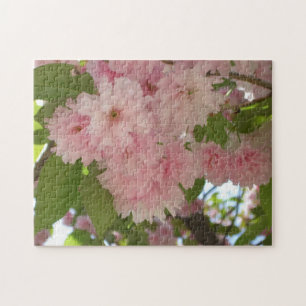 Puzzle Double floraison cerisier II printemps fleuri