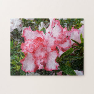 Puzzle Double rouge et blanc Azaleas printemps floral