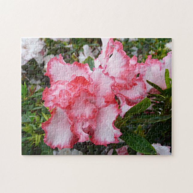 Puzzle Double rouge et blanc Azaleas printemps floral (Horizontal)