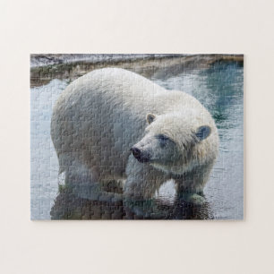 Puzzle d'ours blanc