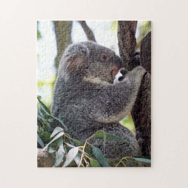 Puzzle d'ours de koala (Vertical)