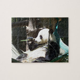 Puzzle d'ours panda
