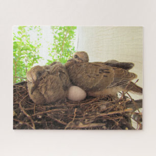 Puzzle - Dove Chicks in Nest
