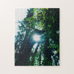 Puzzle Dragon de Forêt -