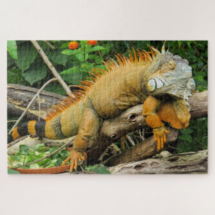Puzzle Dragon lizard sleeping along a long tree branch