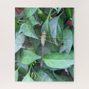puzzle dragonfly