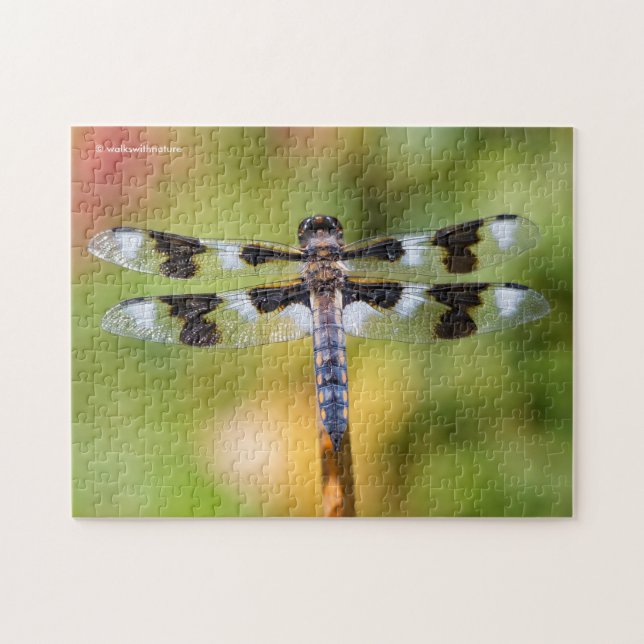 Puzzle Dragonfly à huit pointes (Horizontal)