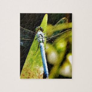 Puzzle Dragonfly bleu clair