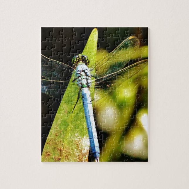 Puzzle Dragonfly bleu clair (Vertical)