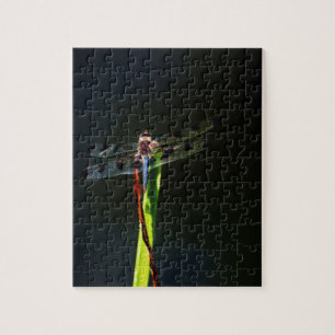 Puzzle Dragonfly bleu et noir sur gazon vert et rouge