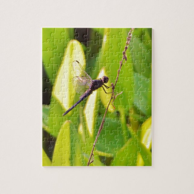 Puzzle Dragonfly Blue et noir sur l'herbe. (Vertical)