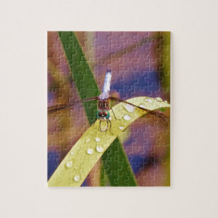 Puzzle Dragonfly sur la feuille de pluie