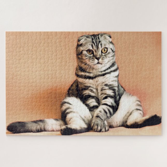 Puzzle Drôle Scottish Pold Cat Photo (Horizontal)