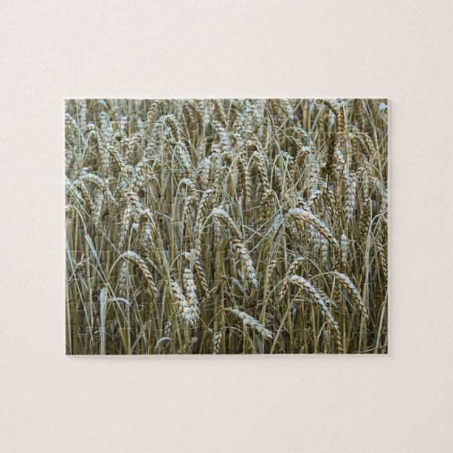 Puzzle du champ de blé (Horizontal)